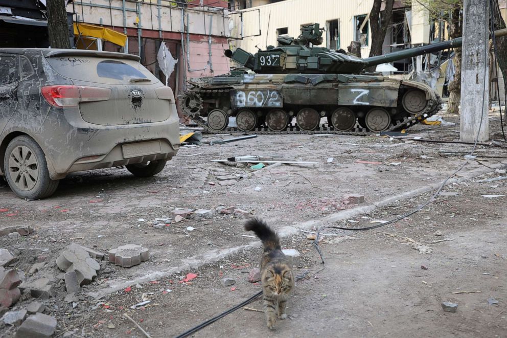 PHOTO: A cat walks next to a tanks of the self-declared Donetsk People's Republic militia in Mariupol, eastern Ukraine, May 4, 2022.