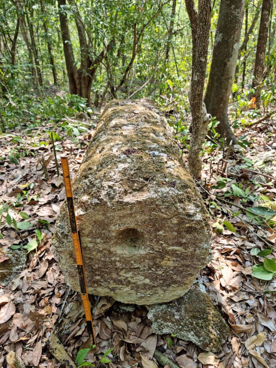 PHOTO: A stone column is pictured after archaeologists from Mexico's National Institute of Anthropology and History discovered an ancient Mayan city inside the Balamku ecological reserve in Campeche state, Mexico on June 20, 2023.