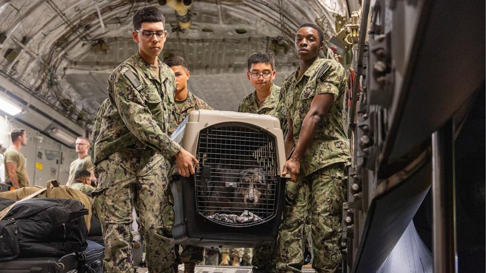 PHOTO: Service members carry a crated family pet for transport to a temporary animal control holding facility onboard Naval Air Station Pensacola as non-mission essential personnel are evacuated from the Naval Station Guantanamo Bay, Oct. 25, 2025.