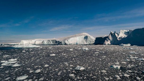 Melting Arctic ice will have catastrophic effects on the world, experts ...