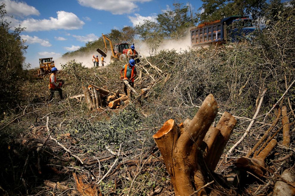 PHOTO: Workers clear trees for the construction of section 4 of the new Mayan Train route, near Nuevo Xcan, Chemax, Mexico, March 3, 2022.