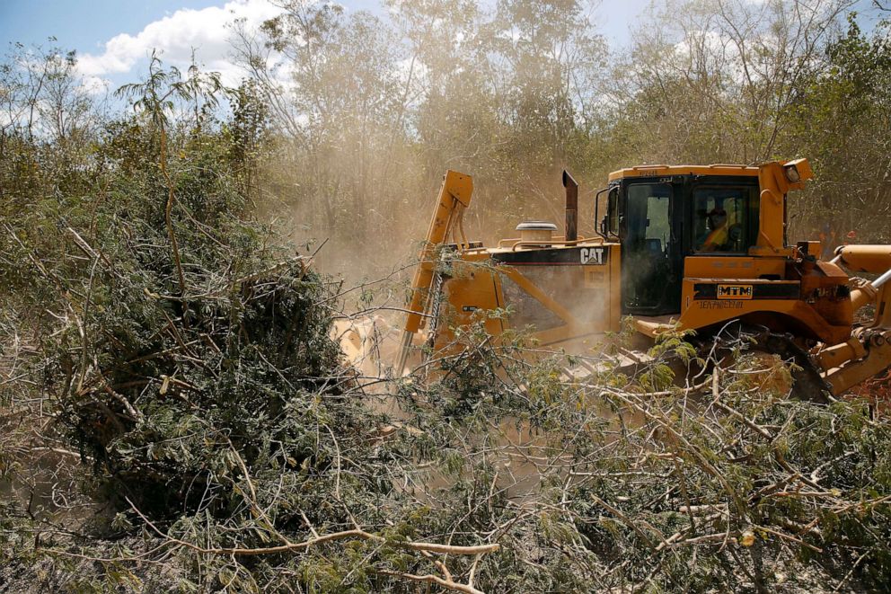PHOTO: A bulldozer clears jungle for the construction of section 4 of the new Mayan Train route, near Nuevo Xcan, Chemax, Yucatan, Mexico, March 3, 2022.