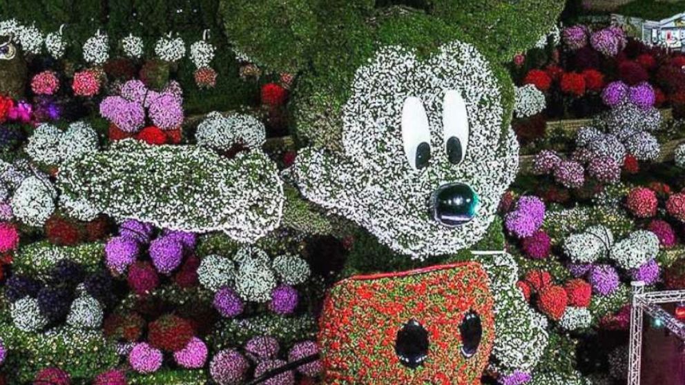 PHOTO: A giant floral Mickey Mouse display broke the Guinness World Record for world's tallest topiary sculpture located at the Dubai Miracle Garden.