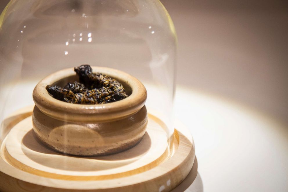 PHOTO: The Museum of Disgusting Food, which opened on Oct. 31, 2018, in Malmo, Sweden, featured mopane worms, eaten in some parts of Africa.