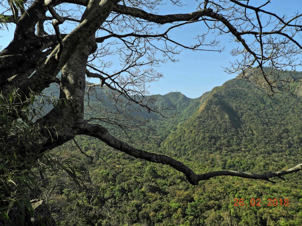 PHOTO: A handout picture made available by the German Primate Center (DPZ)- Leibniz Institute for Primate Research, Nov. 10, 2020, shows the intact habitat of the Popa langur (Trachypithecus popa) in the crater of Mount Popa, Myanmar.