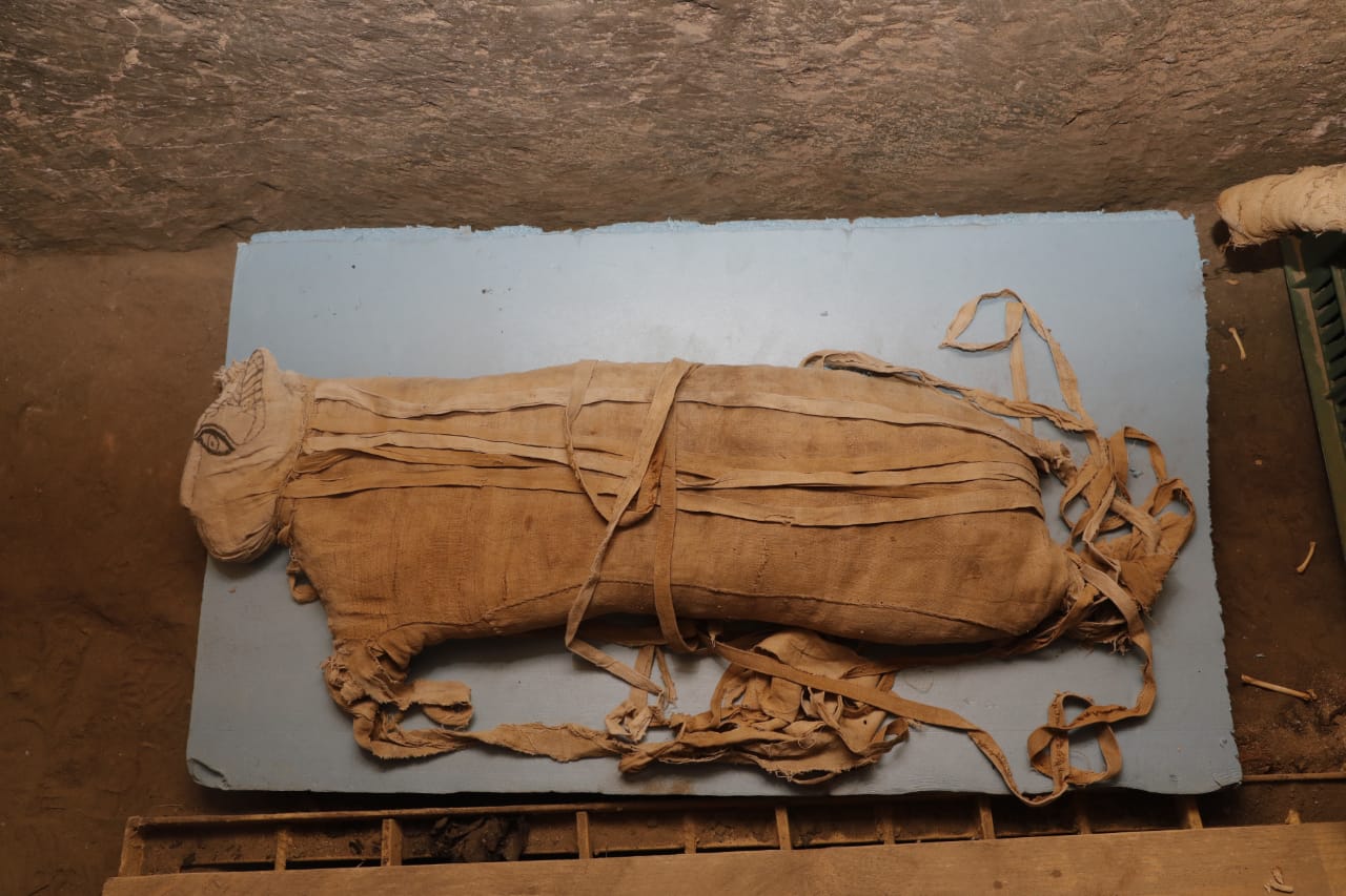 PHOTO: Egypt unveiled on Saturday what it described as "one of a kind" discovery of a cache containing hundreds of statues and mummified animals.