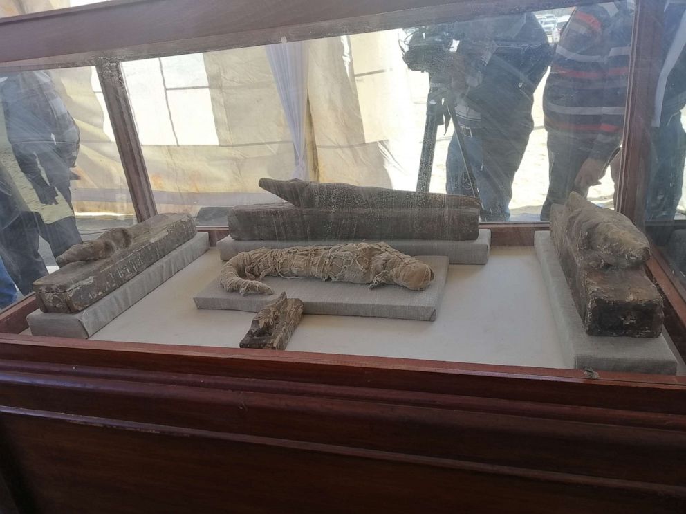 PHOTO: Egypt unveiled on Saturday what it described as "one of a kind" discovery of a cache containing hundreds of statues and mummified animals.