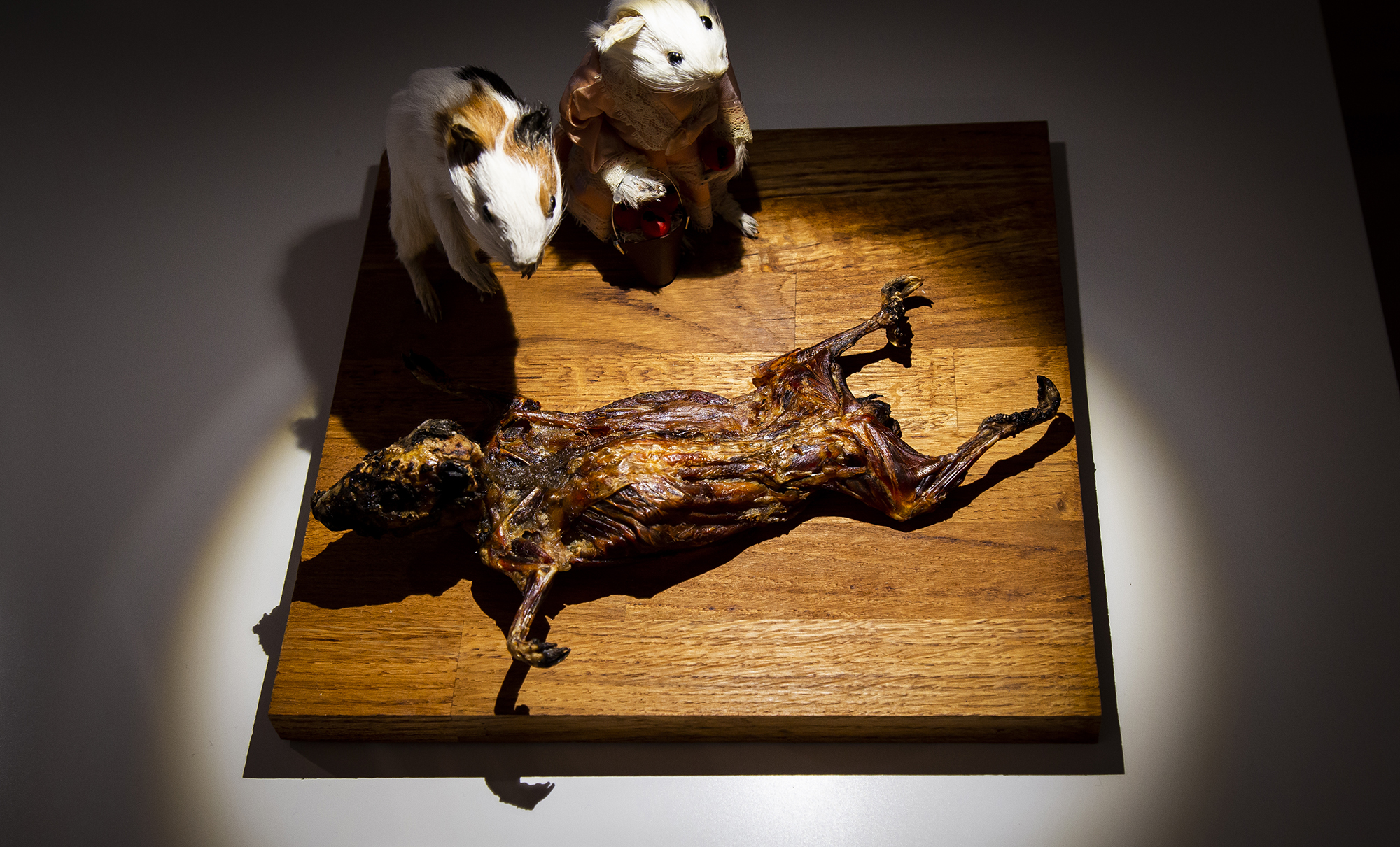 PHOTO: The Museum of Disgusting Food, which opened, Oct. 31, 2018, in Malmo, Sweden, featured "cuy," or guinea pig, popular in Peru.
