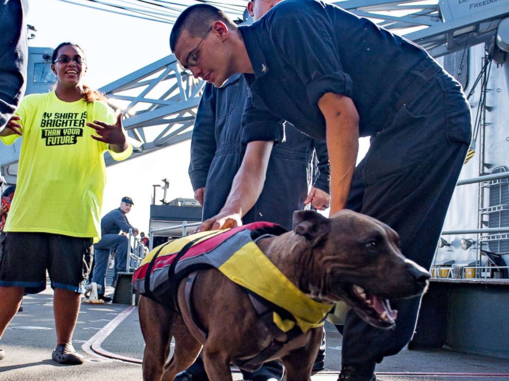 PHOTO: A sailor greets Zeus the dog with his owner Tasha Fuiaba, left, on the boat deck of the amphibious dock landing ship USS Ashland (LSD 48) after assistance was rendered to their distressed sailboat, Oct. 25, 2017.