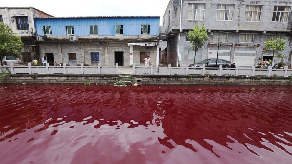 The water in a river in Xinmeizhou village in eastern China's Zhejiang province turned red overnight, baffling locals, July 25, 2014. 