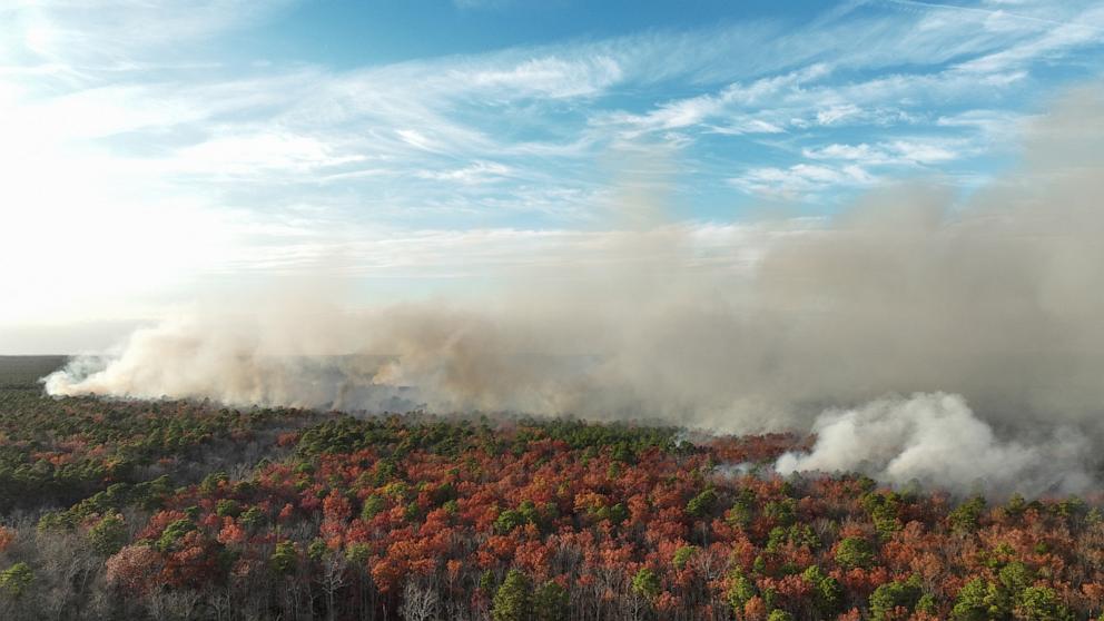 PHOTO: Several homes were evacuated as a wildfire spread through the Colliers Mills Wildfire Management Area in Ocean County, New Jersey, Nov. 5, 2024.