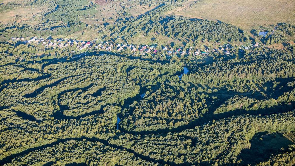 PHOTO: In this July 31, 2018, file photo, an aerial view of houses in a forest near the village of Merinovo is shown in the Nizhny Novgorod region of Russia.