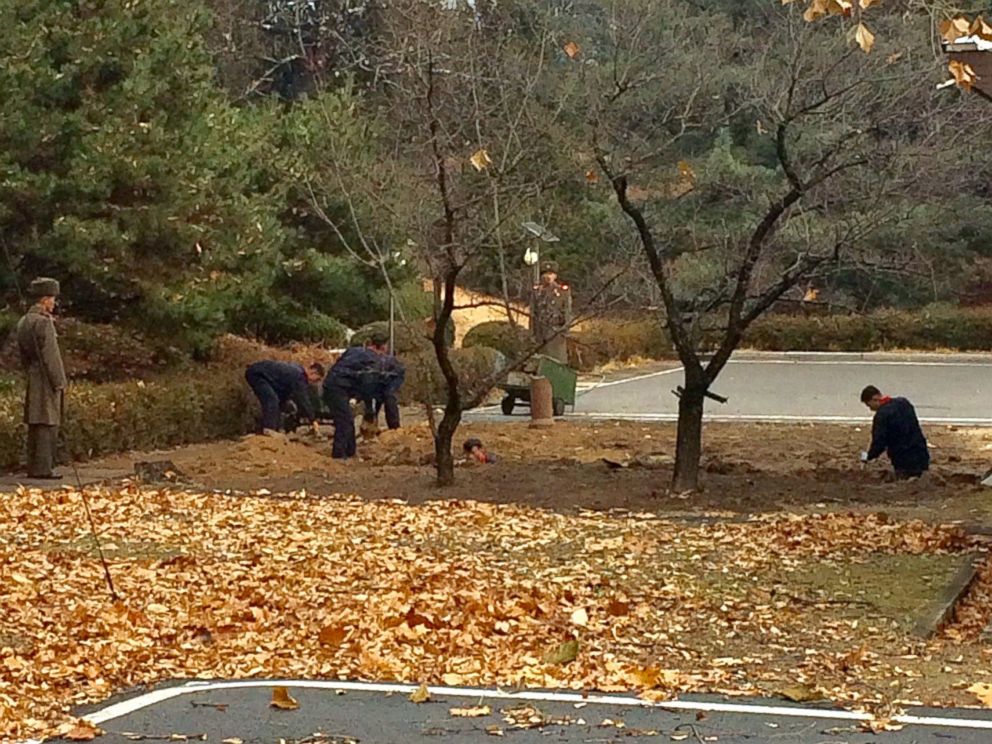 PHOTO: North Korean soldiers dig a trench and plant trees in the area where, on Nov. 13, a defector ran across the border at the Demilitarized Zone dividing North Korea and South Korea Nov. 22, 2017.