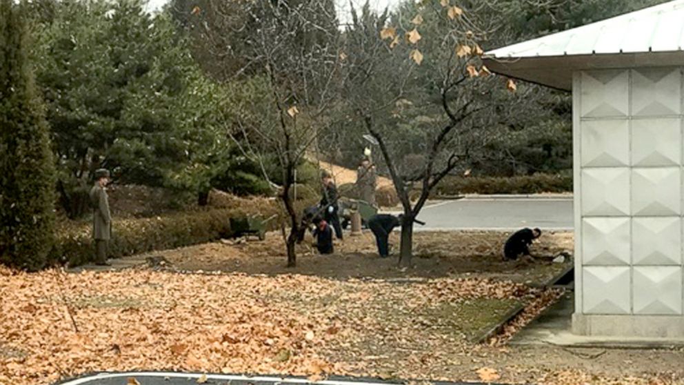North Korean soldiers dig a trench and plant trees in the area where, on Nov. 13, a defector ran across the border at the Demilitarized Zone dividing North Korea and South Korea, Nov. 22, 2017. 