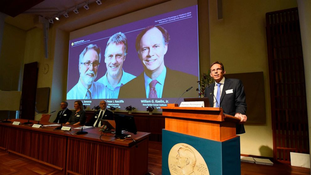 The 2019 Nobel Prize for Physiology or Medicine has been awarded to scientists William G. Kaelin, Jr, Peter J. Ratcliffe and Gregg L. Semenza.