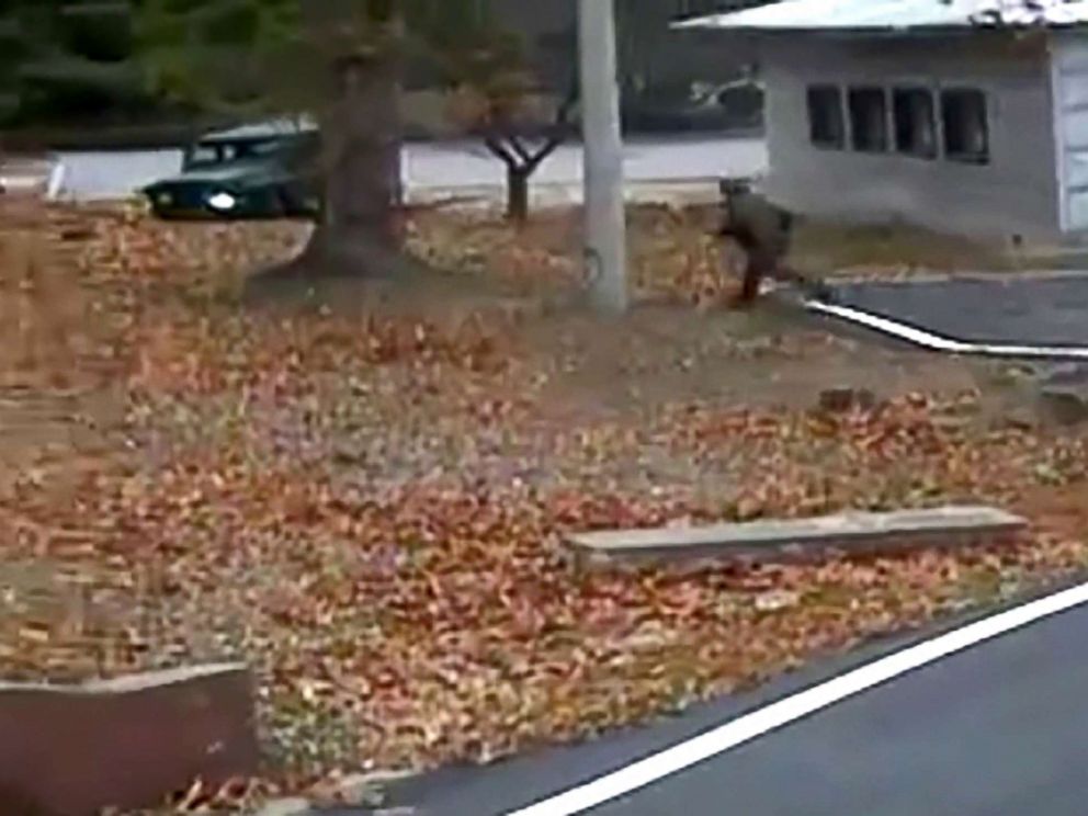 PHOTO: This screengrab made from video footage released by the United Nations Command, Nov. 22, 2017, shows a North Korean soldier running back to the north side of the Joint Security Area of the Demilitarized Zone while in pursuit of a defector.