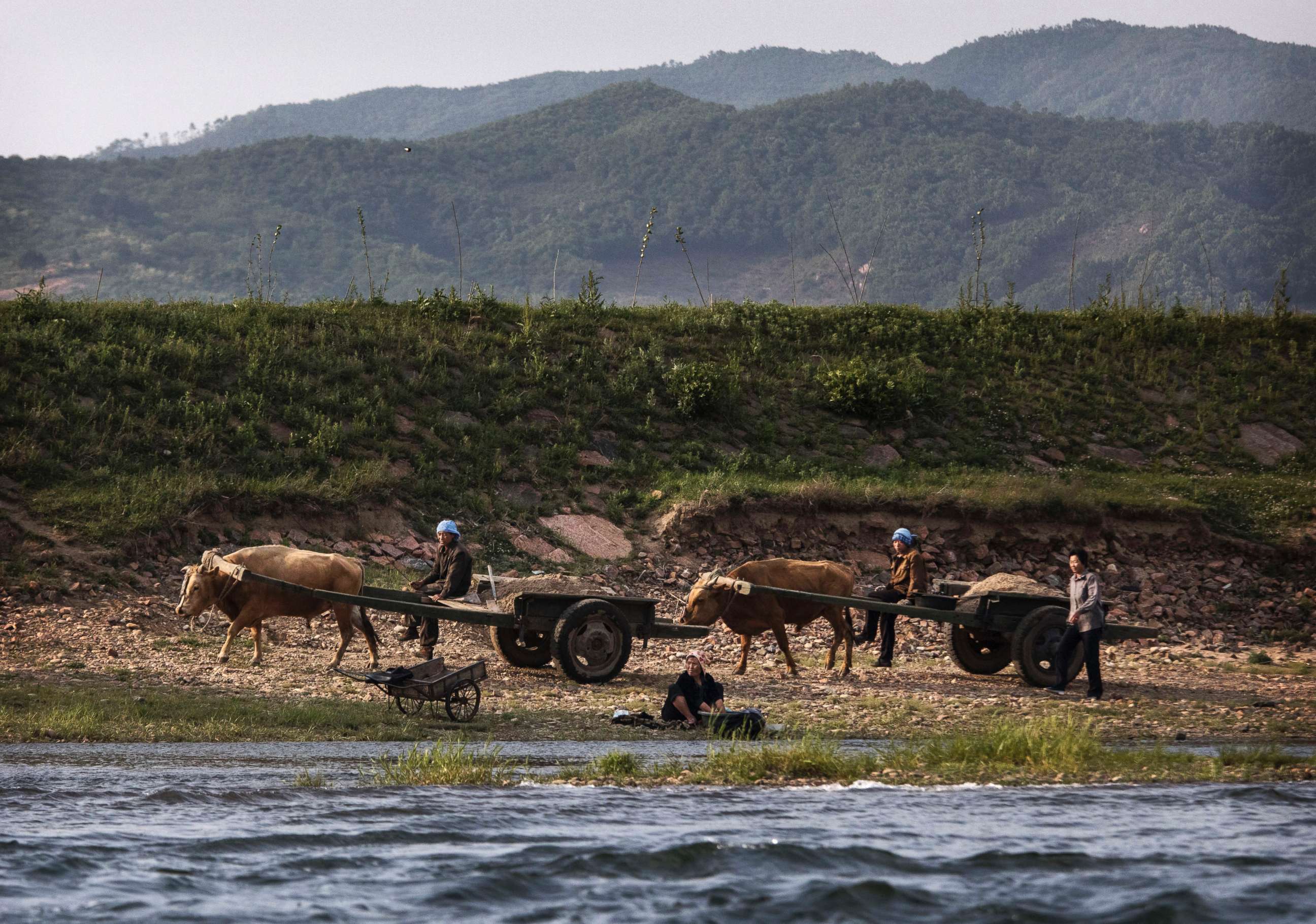 PHOTO: North Korean farmers work on the Yalu river north of the border city of Sinuiju, North Korea across from Dandong, northern China, May 23, 2017.