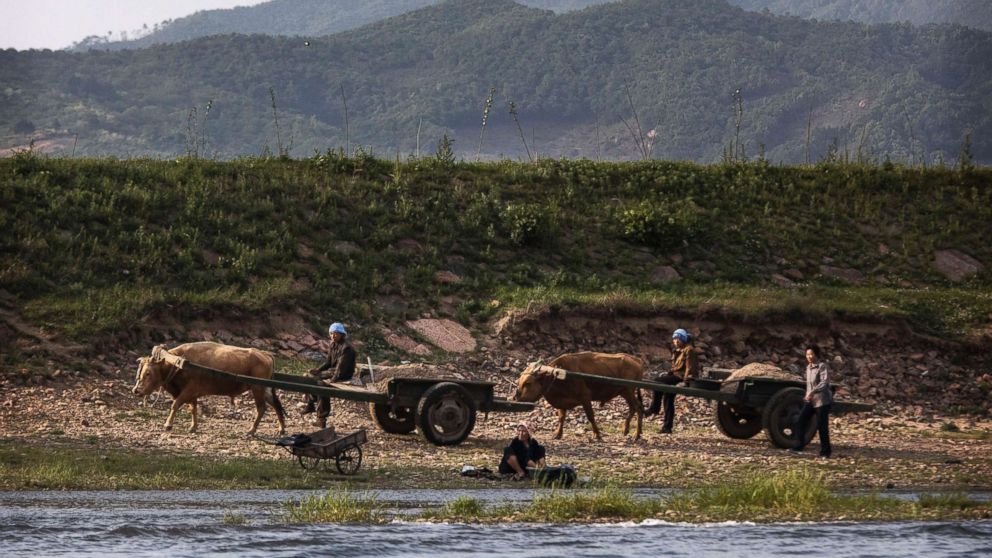 PHOTO: North Korean farmers work on the Yalu river north of the border city of Sinuiju, North Korea across from Dandong, northern China, May 23, 2017.