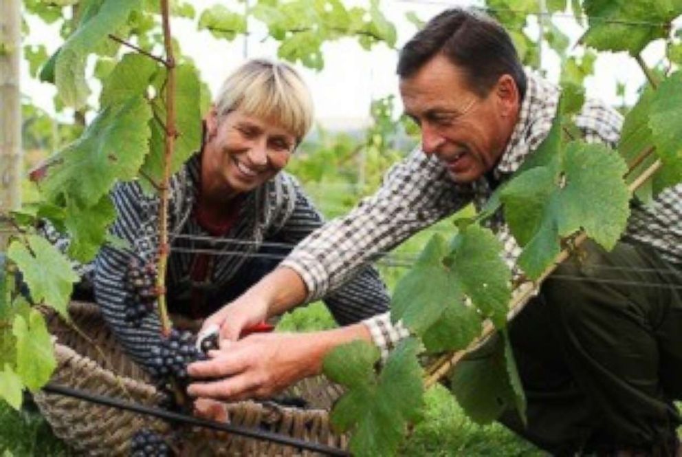 PHOTO: Joar Saettem and his wife Wenche Hvattum have developed Lerkekasa Vineyard, among the world's most northerly commercial vineyards, in Gvarv, Norway.