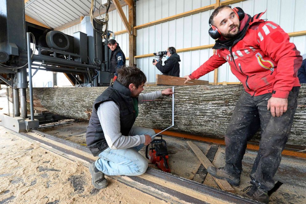PHOTO: Workers check the thickness of a trunk to be used for the construction of the "stool" supporting the spire of Notre Dame de Paris, in Craon, north-western France, on Dec. 16, 2021.