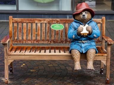 Royal Air Force engineers shamed by judge over theft of Paddington Bear statue