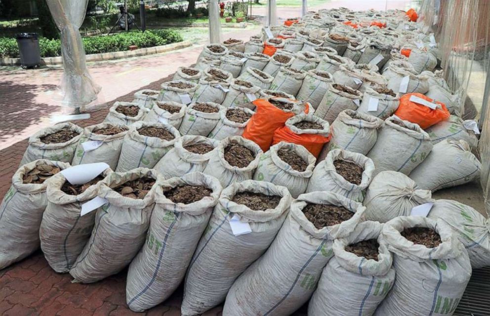 PHOTO: Authorities in Singapore seized over 14 tons of pangolin scales estimated to be worth about $38.7 million on April 3, 2019.