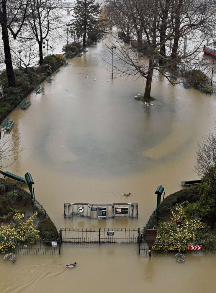 Paris floods as River Seine approaches recordlevel rise ABC News