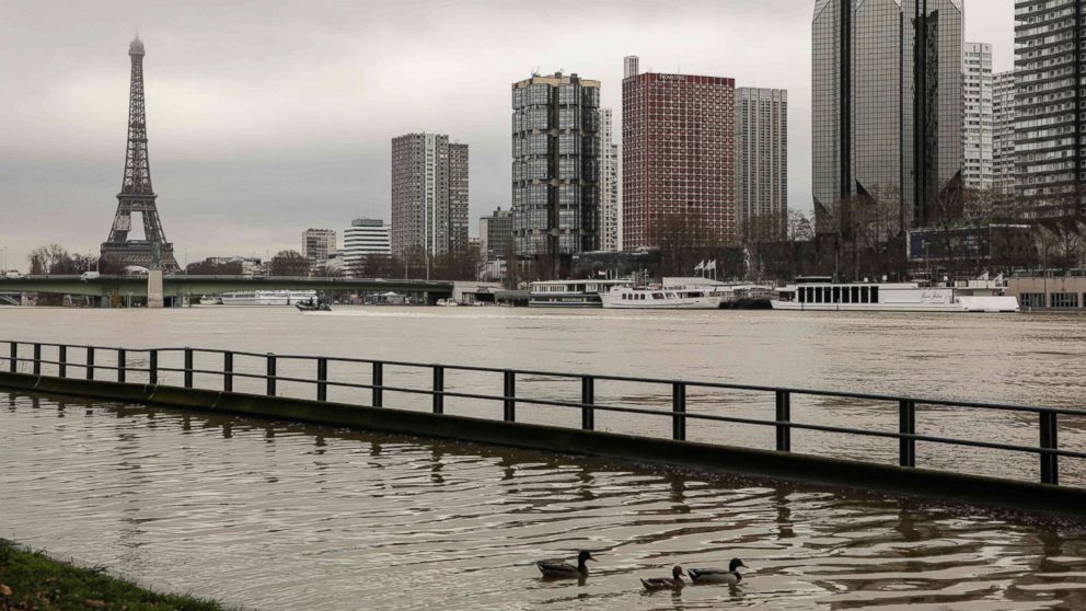 PHOTO: Ducks swim on the flooded banks of the river Seine in Paris, Jan. 23, 2018.