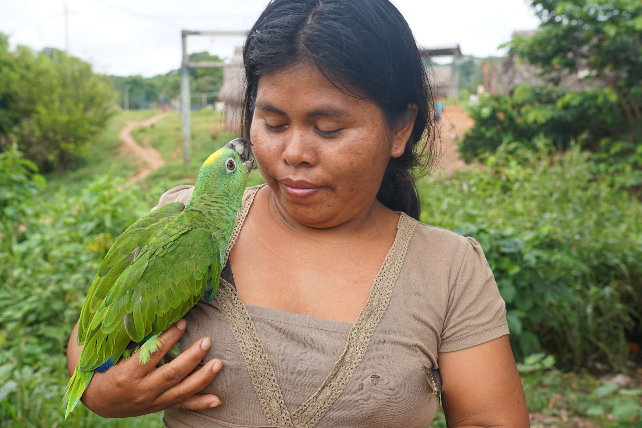 PHOTO: A Kakataibo woman and her pet bird in Peru’s Ucayali region. Over 30 million people, including scores of indigenous tribes, rely on the forests and rivers of the Amazon rainforest.