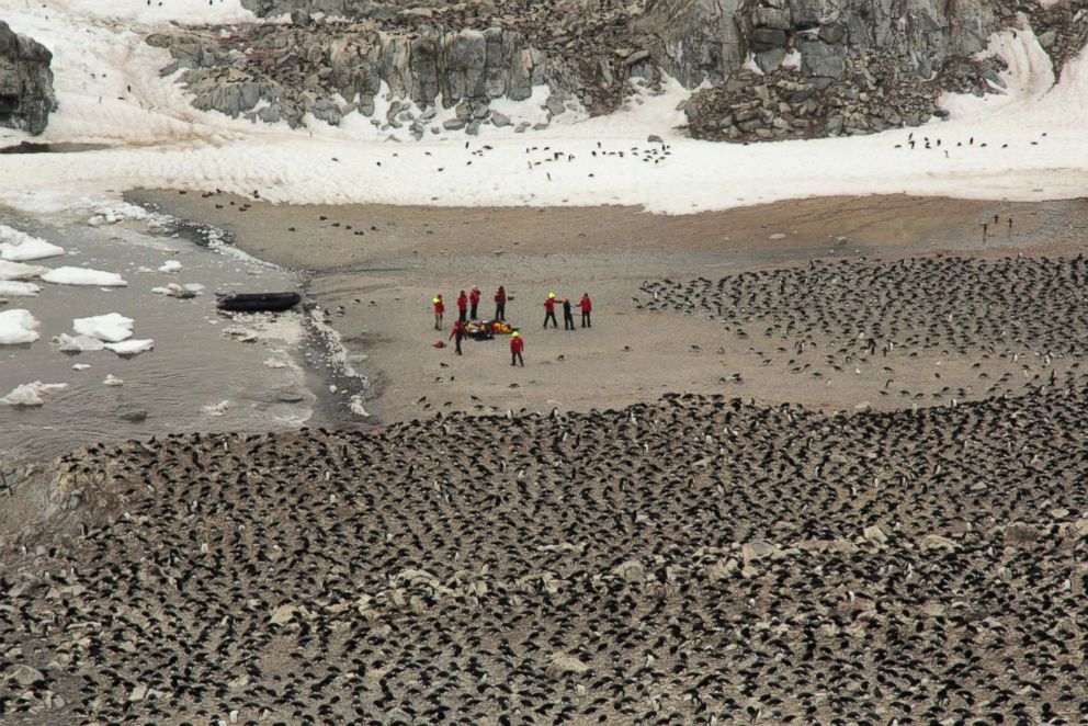 PHOTO: Scientists made an expedition to the remote Danger Islands in Antarctica to count penguins found after satellite images revealed evidence of birds.