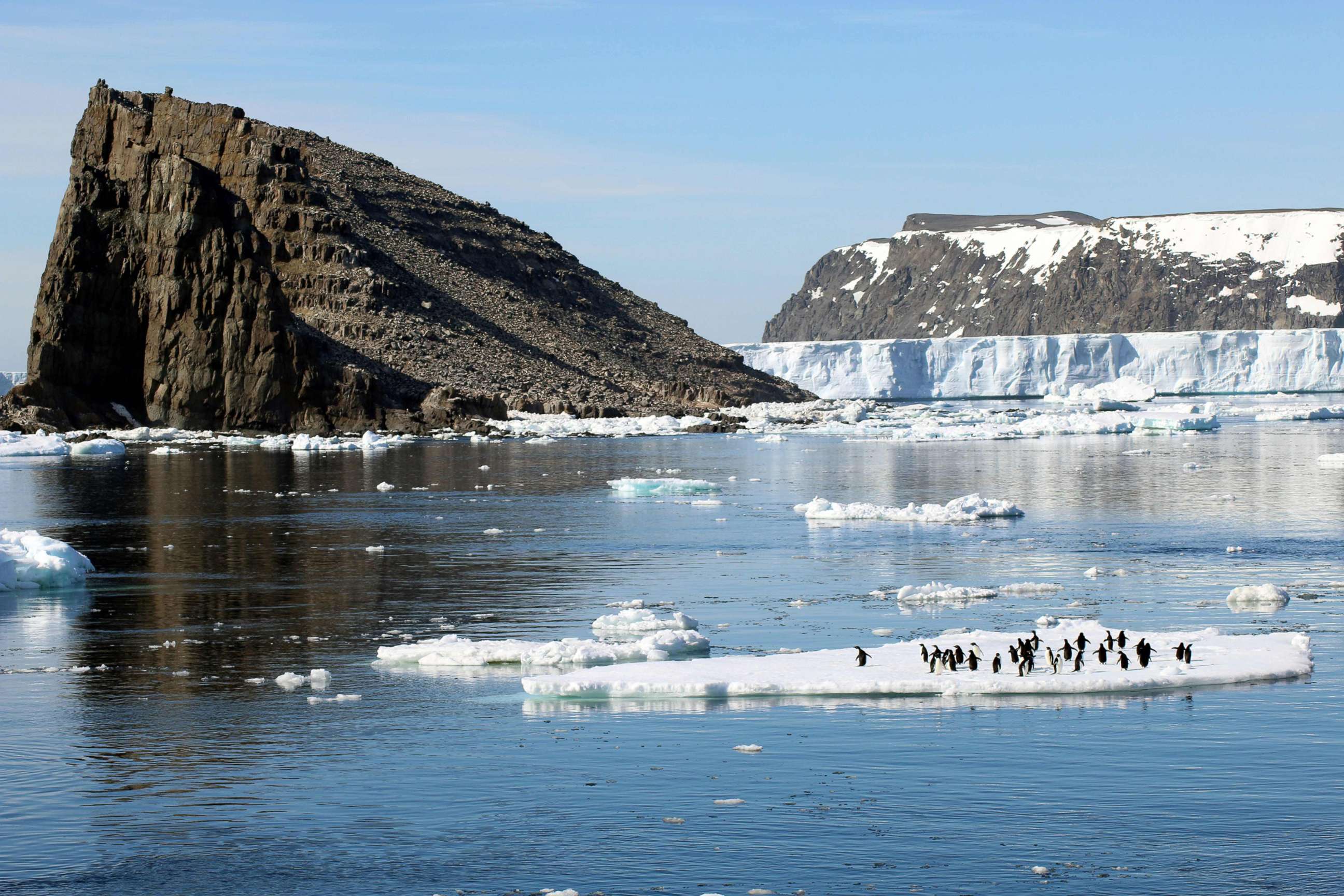 PHOTO: Adelie penguins stand on sea ice next to Comb Island, Danger Islands, Antarctica, where they discovered a previously unknown colony.