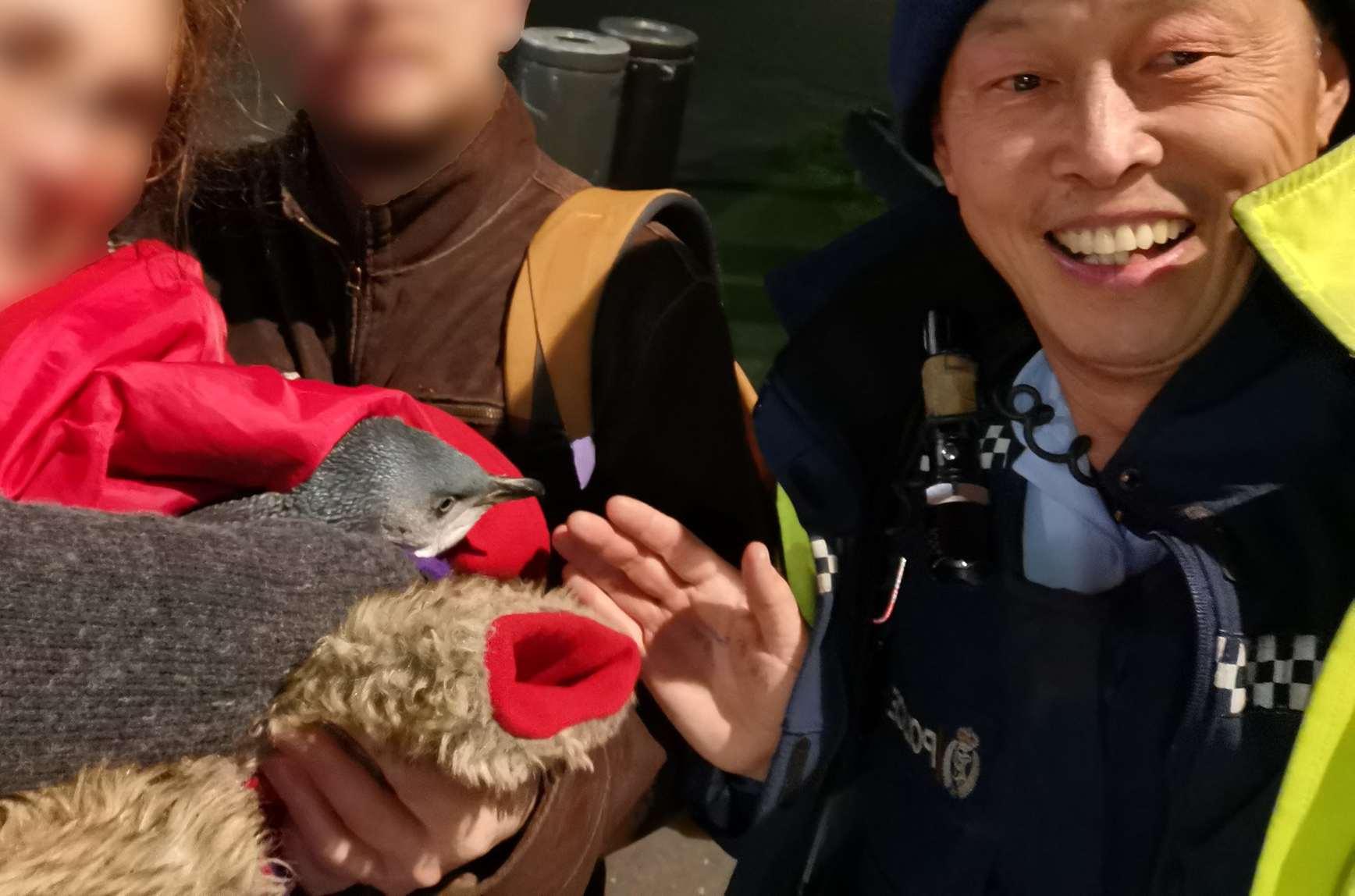 PHOTO: According to the Wellington District Police penguins were removed from a sushi stand on July 13, 2019.