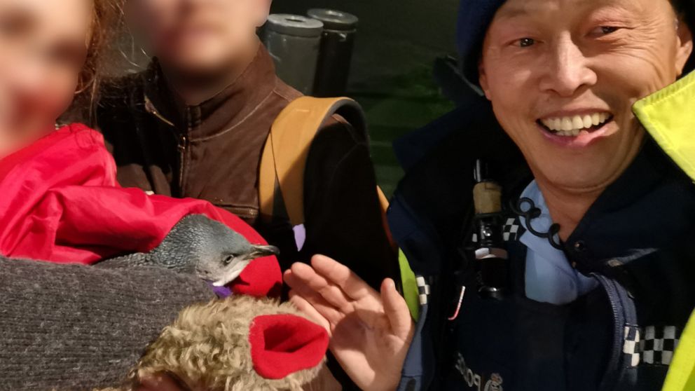PHOTO: According to the Wellington District Police penguins were removed from a sushi stand on July 13, 2019.