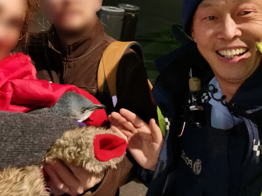 PHOTO: According to the Wellington District Police penguins were removed from a sushi stand on July 13, 2019.