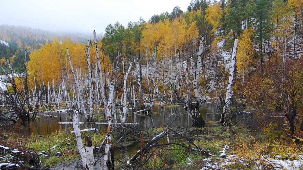 Siberia's permafrost melt is causing swamps, lakes, making land difficult to live on