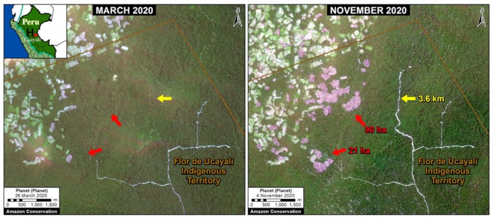 Amazon Rainforest Lost Area The Size Of Israel In Abc News