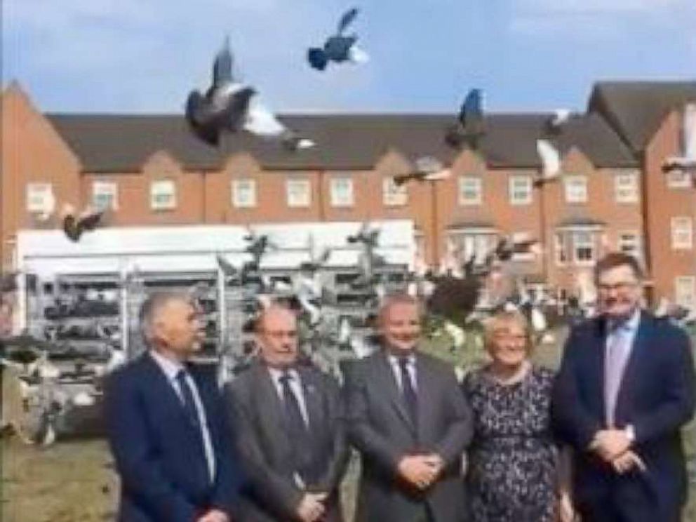 PHOTO: The Royal Pigeon Racing Association releases 650 birds from Bletchley Park in Milton Keynes, England, at the Lords v Commons pigeon race, June 13, 2018.