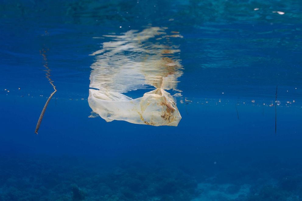 PHOTO: A plastic bag is shown floating in the ocean off the coast of the Philippines, November 2011.