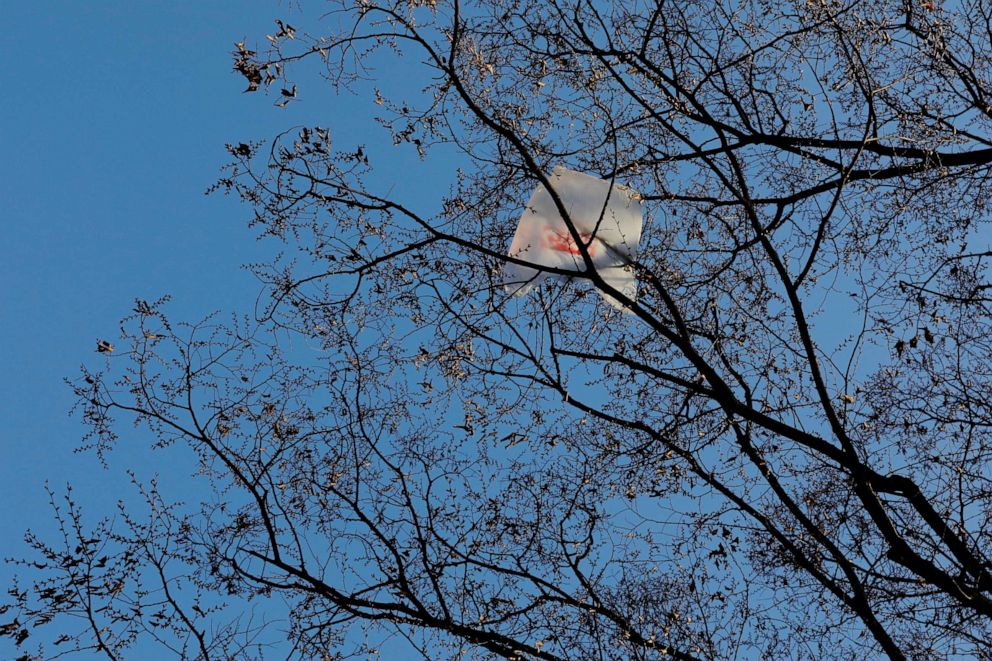PHOTO: A plastic bag stuck in a tree blows in the wind in New York, April 1, 2019.