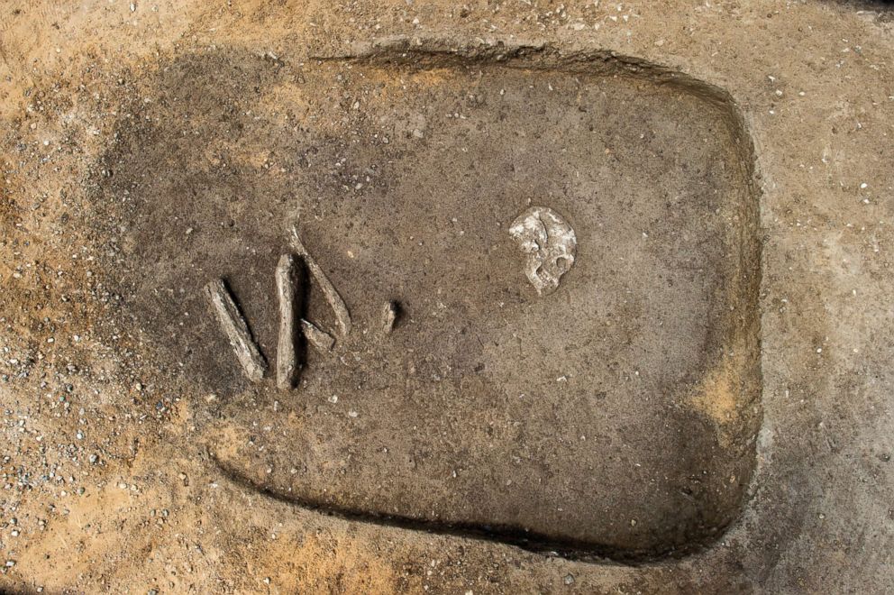 PHOTO: The skeleton of a male from the Bell Beaker Culture is positioned in his grave so that his skull is facing East. The grave is in the immediate vicinity of the Ringheiligtum Poemmelte in Poemmelte, Germany, June 26, 2018.