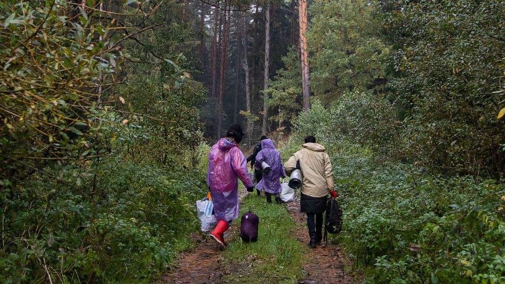 PHOTO: A group of Yemeni migrants seeking asylum walk in the forest, Oct. 1, 2021 in Podlasie region in eastern Poland. 