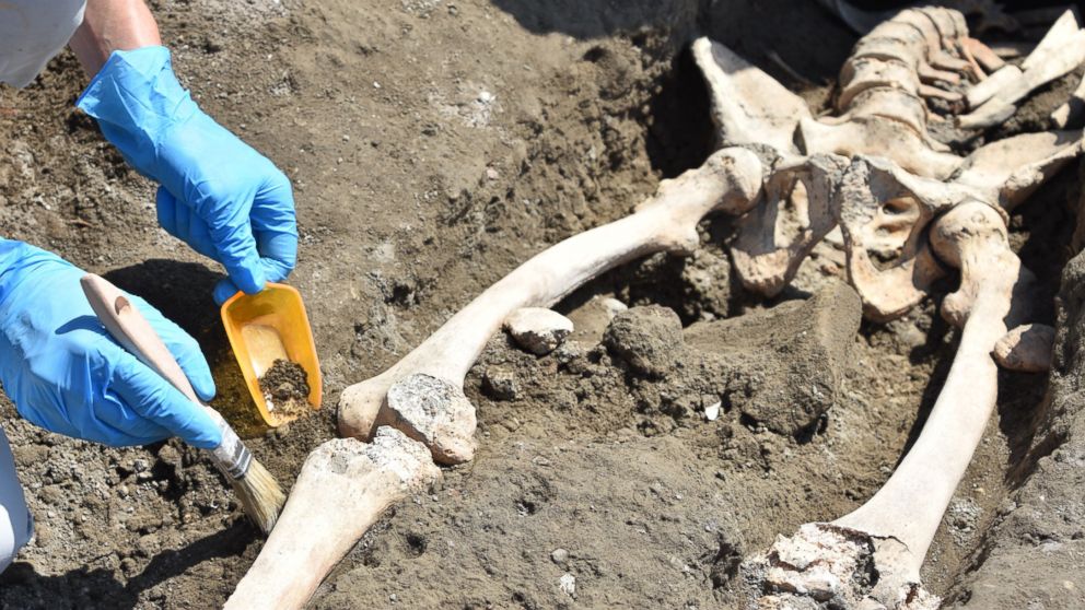 PHOTO: Archaeologists discovered the skeleton of a man at the Roman city of Pompeii who they think fell while fleeing the volcanic explosion of Mt. Vesuvius in 79 A.D.