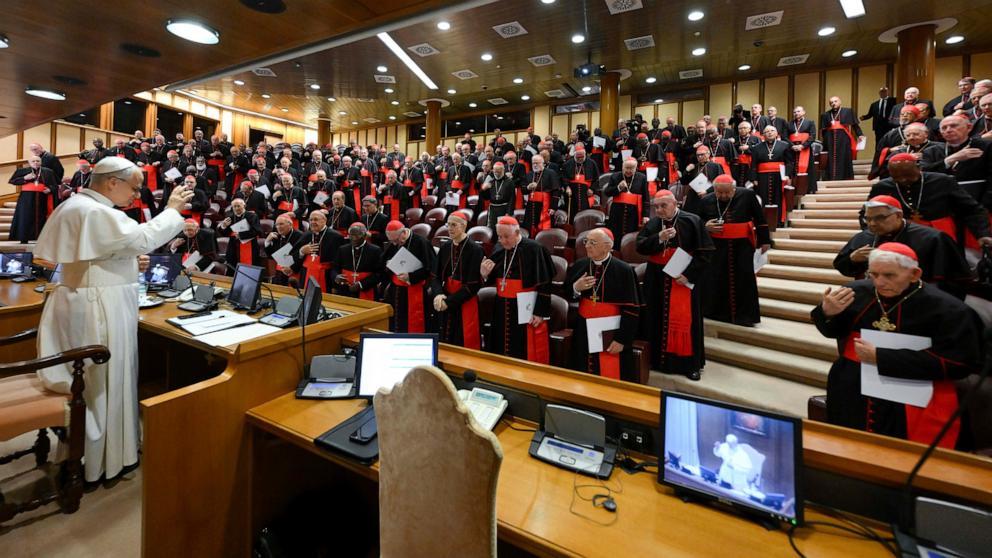 PHOTO: Pope Leo XIV meets the College of Cardinals in the New Synod Hall at the Vatican, on May 10, 2025.