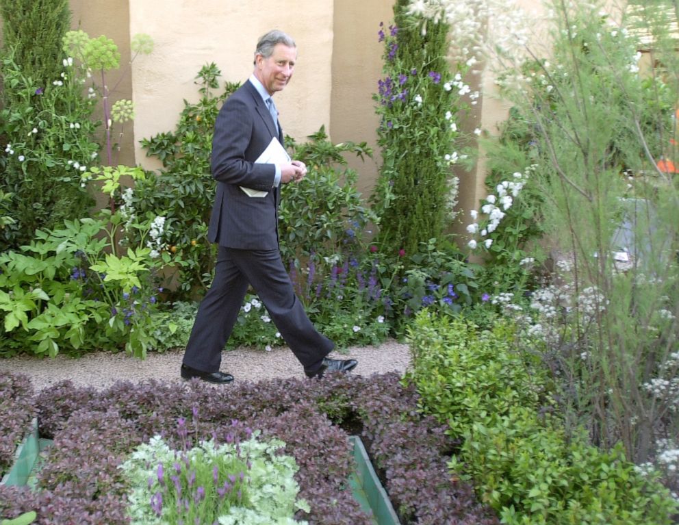 PHOTO: Prince Charles walks in the award-winning Islamic style garden he initiated at the Chelsea Flower Show In Chelsea, London, May 21, 2001.