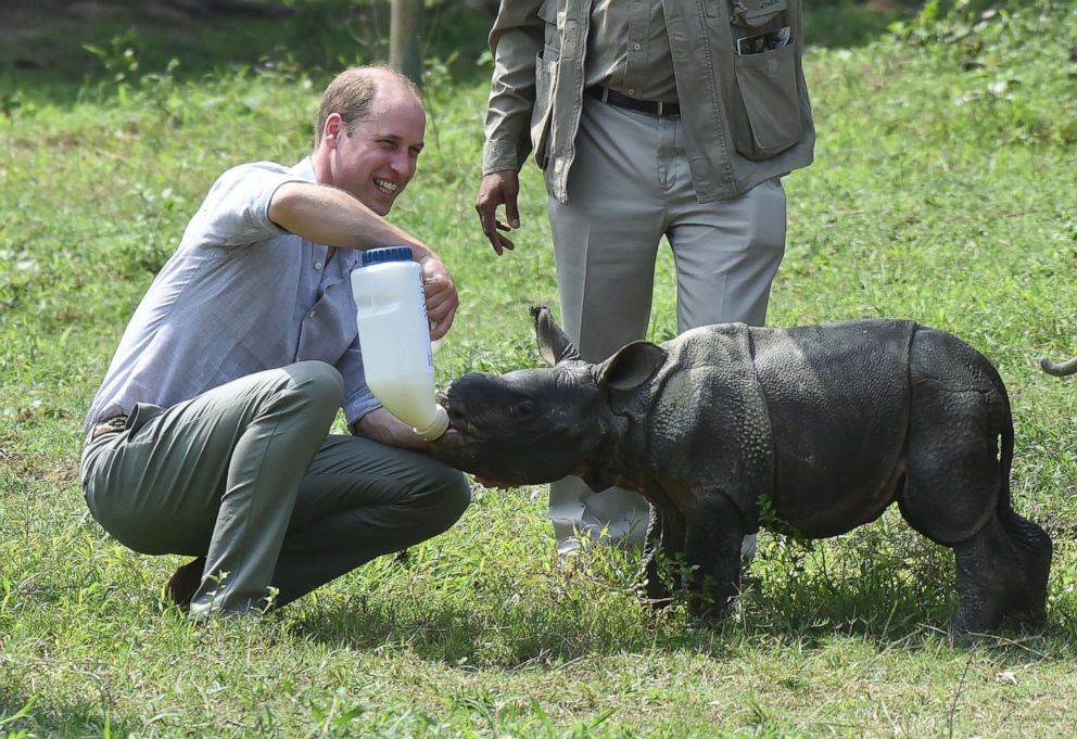 PHOTO: Prince William, Duke of Cambridge feeds a baby rhino during a visit to the Center for Wildlife Rehabilitation and Conservation at Kaziranga National Park, on April 13, 2016, in Guwahati, India.
