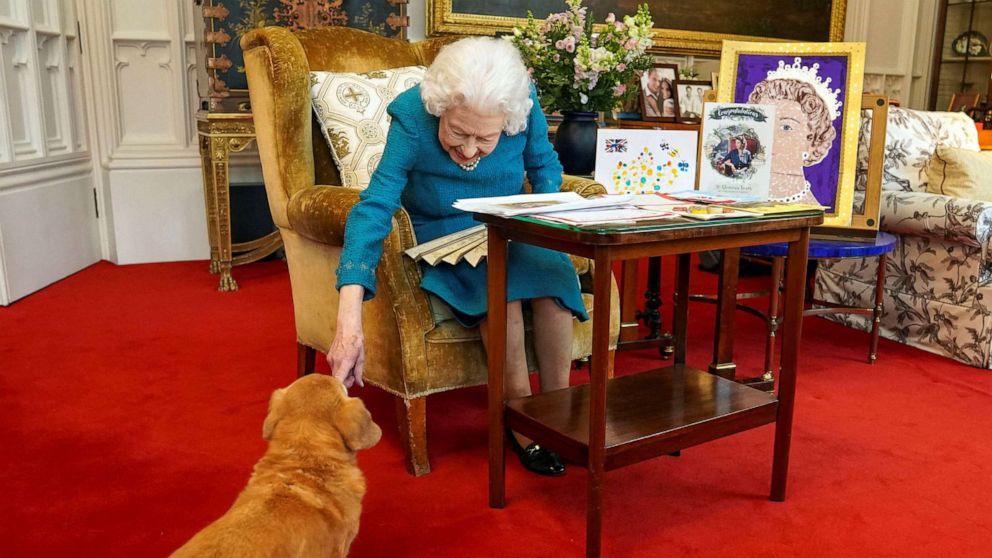 PHOTO: Queen Elizabeth II stroking Candy, her corgi dog, as she looks at a display of memorabilia from her Golden and Platinum Jubilees, in the Oak Room at Windsor Castle, west of London in a photo released on Feb. 4, 2022.