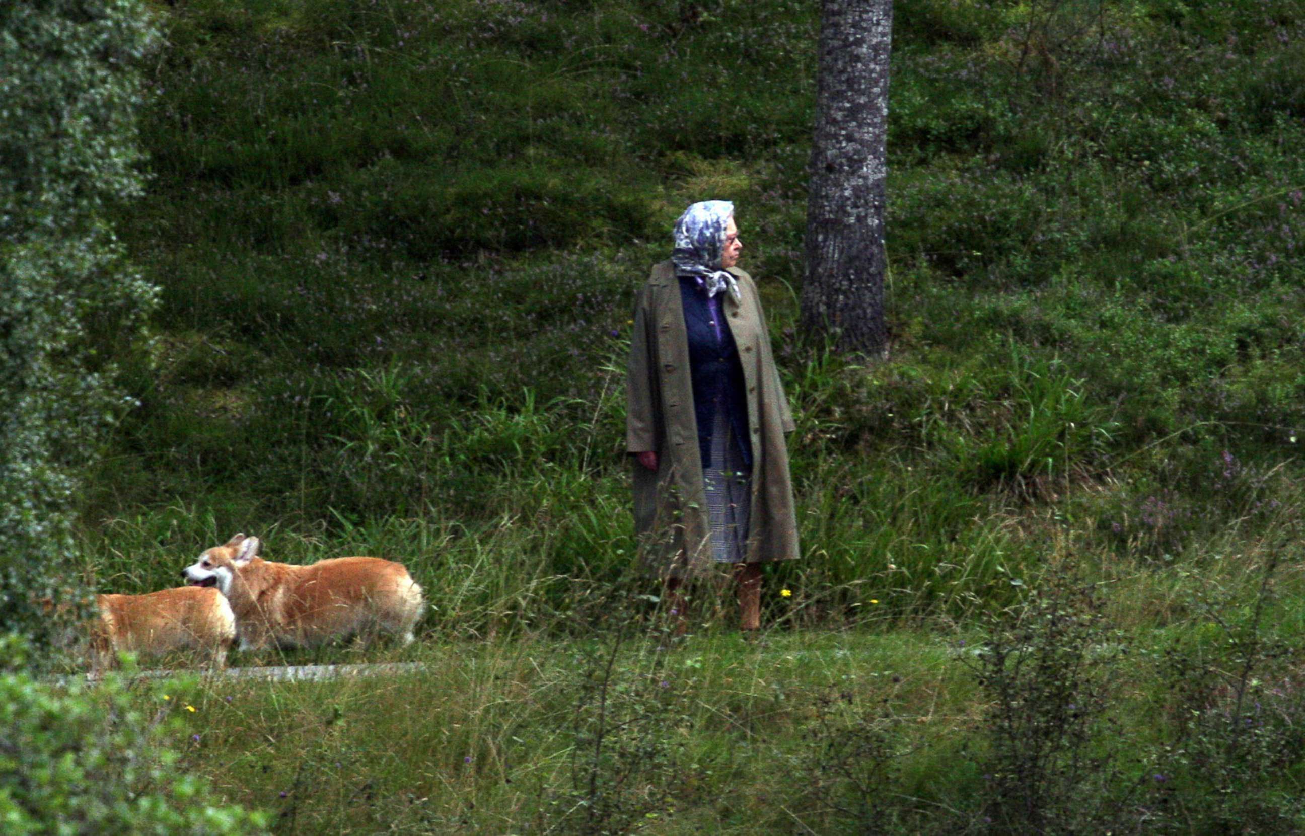 PHOTO: Queen Elizabeth II walks with her corgis after having had lunch at Balmoral Castle, Aug. 24, 2008.