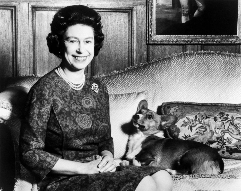 PHOTO: Queen Elizabeth II poses with her Corgis dog, Feb. 26 1970.