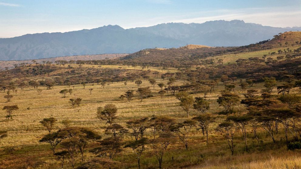 PHOTO: The Crater Area in Queen Elizabeth National Park with view of the Rwenzori Mountains in Uganda, East Africa in this Sept. 18, 2016.file photo.