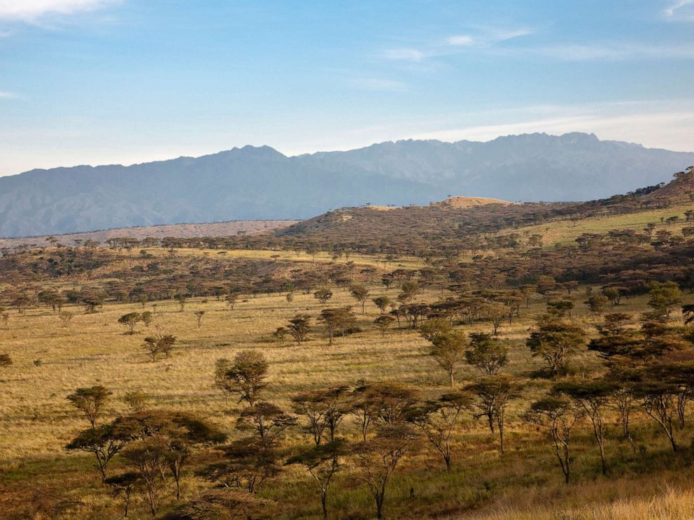PHOTO: The Crater Area in Queen Elizabeth National Park with view of the Rwenzori Mountains in Uganda, East Africa in this Sept. 18, 2016.file photo.